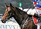 Makybe Diva Changes from Encosta de Lago to Fusaichi Pegasus Makybe Diva Changes from Encosta de Lago to Fusaichi Pegasus