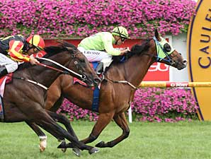 Maldivian Takes CF Orr at Caulfield Maldivian Takes CF Orr at Caulfield