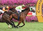 Maldivian Takes CF Orr at Caulfield Maldivian Takes CF Orr at Caulfield