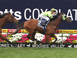 Maldivian Annexes Australia's Cox Plate Maldivian Annexes Australia's Cox Plate