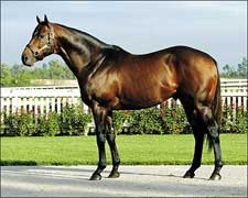 Malibu Moon, Action This Day to Spendthrift Malibu Moon, Action This Day to Spendthrift