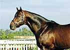 Malibu Moon, Action This Day to Spendthrift Malibu Moon, Action This Day to Spendthrift