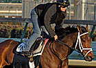 Pletcher Works Five BC Hopefuls at Churchill