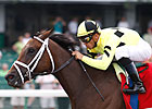 Molly Pitcher: Malibu Prayer the One to Beat Molly Pitcher: Malibu Prayer the One to Beat