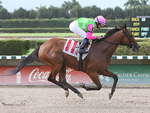 Mambo Meister Ready to Master Calder Stakes Mambo Meister Ready to Master Calder Stakes