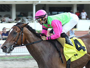 Popular Mambo Meister Euthanized Popular Mambo Meister Euthanized