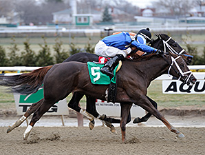 Mamdooha Prevails in Ruthless Stretch Duel Mamdooha Prevails in Ruthless Stretch Duel
