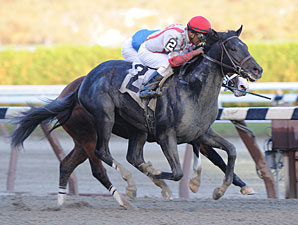 Remsen: Strong Pedigrees, Light Experience Remsen: Strong Pedigrees, Light Experience