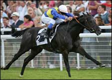 Champion Manduro to Join Darley Stallion Roster Champion Manduro to Join Darley Stallion Roster