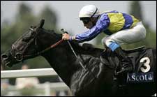 Manduro Superb in Prince of Wales Victory Manduro Superb in Prince of Wales Victory