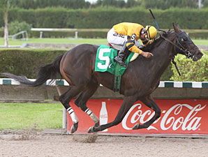 Manicero May Join Hutcheson Field Manicero May Join Hutcheson Field