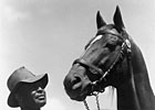 Man o' War vs. Seattle Slew - Vote Now!