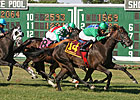 BC Winner Maram Booked to Giant's Causeway BC Winner Maram Booked to Giant's Causeway