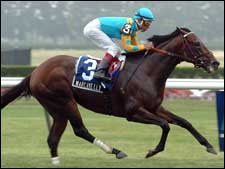 Marcavelly Regains Touch in Hill Prince Win Marcavelly Regains Touch in Hill Prince Win