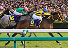 Marcellina Captures Japan's Thousand Guineas Marcellina Captures Japan's Thousand Guineas