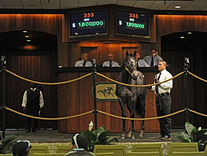 Record Smart Strike Colt Brings $1.8M at OBS Record Smart Strike Colt Brings $1.8M at OBS