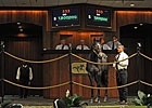 Record Smart Strike Colt Brings $1.8M at OBS Record Smart Strike Colt Brings $1.8M at OBS