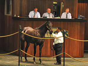 Scat Daddy Colt Sells for $400,000 at OBS Scat Daddy Colt Sells for $400,000 at OBS