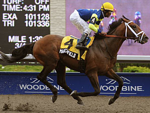 Marchfield Delivers in Canada's Dominion Day Marchfield Delivers in Canada's Dominion Day