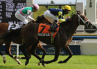 Champion Marchfield to Stand at Park Stud Champion Marchfield to Stand at Park Stud
