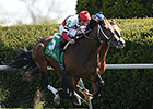 Marchman Wires 'Em in Shakertown Dash Marchman Wires 'Em in Shakertown Dash