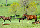 Changes in New York Stallion Stakes Series Changes in New York Stallion Stakes Series