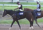 Caulfield Guineas Day: Mark Kavanagh Caulfield Guineas Day: Mark Kavanagh