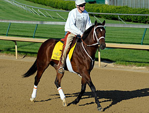 Mark Valeski Withdrawn From Derby Mark Valeski Withdrawn From Derby