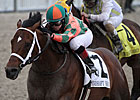 Featured Horse Profile: Mark Valeski Featured Horse Profile: Mark Valeski