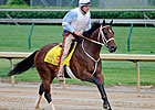Workout Will Determine Mark Valeski's Status
