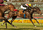 Marketing Mix Shows No Rust in Gamely Verdict