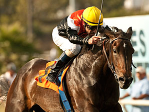 Marketing Mix Retired to Glen Hill Farm Marketing Mix Retired to Glen Hill Farm