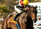 Marketing Mix Retired to Glen Hill Farm Marketing Mix Retired to Glen Hill Farm