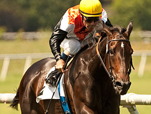 Tough Marketing Mix Faces Eight in Beverly D. Tough Marketing Mix Faces Eight in Beverly D.