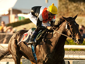 Marketing Mix Hopes to Stroll in Rodeo Drive Marketing Mix Hopes to Stroll in Rodeo Drive