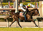 Marketing Mix Out of Derby Day Stakes
