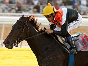 F&M Turf: Marketing Mix Defends at Home F&M Turf: Marketing Mix Defends at Home