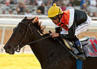 F&M Turf: Marketing Mix Defends at Home