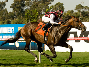 Favored Marlang Runs Off With Sunset 'Cap Favored Marlang Runs Off With Sunset 'Cap