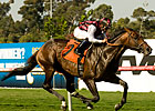 Favored Marlang Runs Off With Sunset 'Cap Favored Marlang Runs Off With Sunset 'Cap