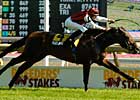 Marlang Shows Way in Breeders' Stakes Marlang Shows Way in Breeders' Stakes