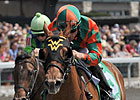 Juvenile Behavior: Ward Eyes Royal Ascot Juvenile Behavior: Ward Eyes Royal Ascot
