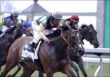 Mary Delaney Impressive in Vinery Madison Win Mary Delaney Impressive in Vinery Madison Win