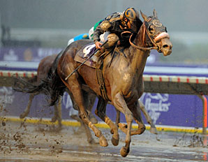 Champion Female Sprinter: Maryfield Champion Female Sprinter: Maryfield