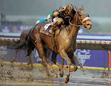 Maryfield Relishes Slop, Takes Filly & Mare Sprint Maryfield Relishes Slop, Takes Filly & Mare Sprint