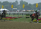 Census: MD Equine Industry Valued at $5.6B