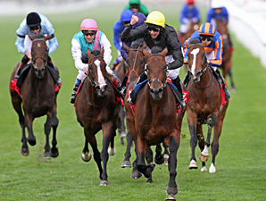 Masked Marvel Sets Stakes Record in St. Leger Masked Marvel Sets Stakes Record in St. Leger