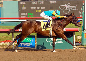 'Drama' Tops CashCall Futurity 'Drama' Tops CashCall Futurity