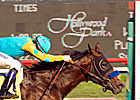 Little Drama in Massive Prevue Win Little Drama in Massive Prevue Win