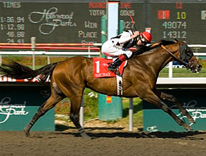 Mast Track Questionable for Cup Mast Track Questionable for Cup